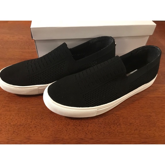 Steve Madden Freeda Sneakers 